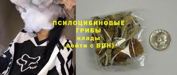 PSILOCYBIN Армянск