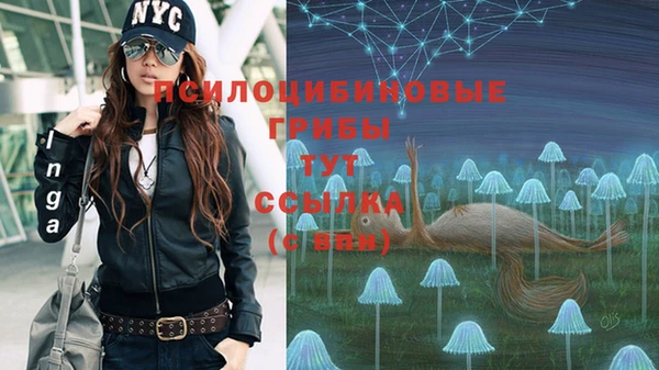 PSILOCYBIN Армянск